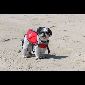 Meet your Posher, Briahna